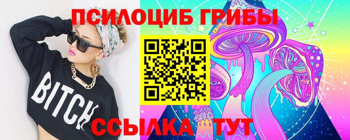 Соль-Илецк  Галлюциногенные грибы Psilocybe  купить наркотики цена  Вход с VPN 